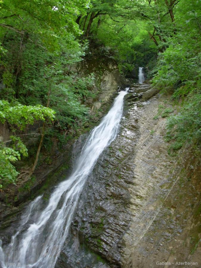 Woodland Paradise Gabala Buitenkant foto