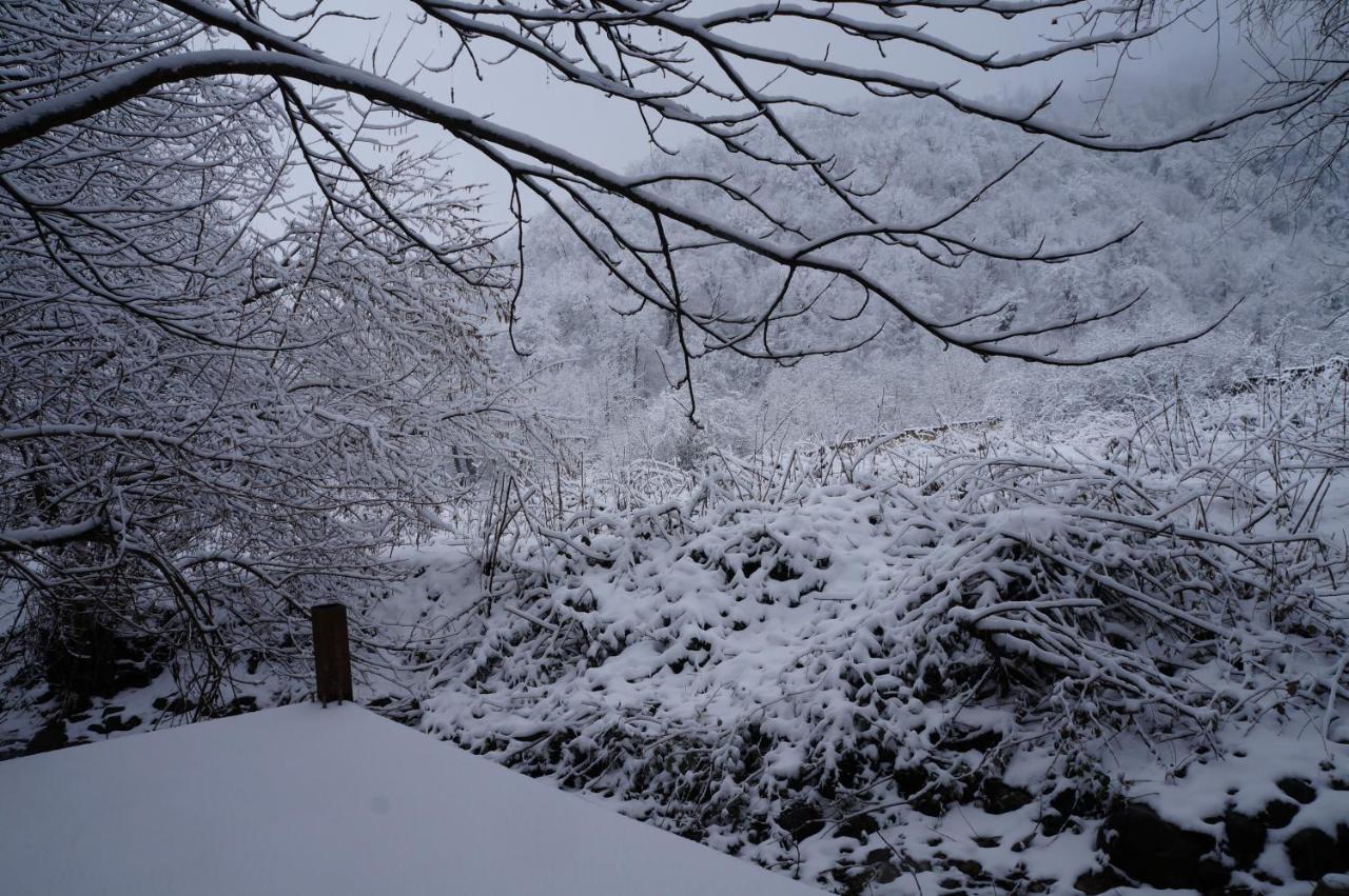 Woodland Paradise Gabala Buitenkant foto